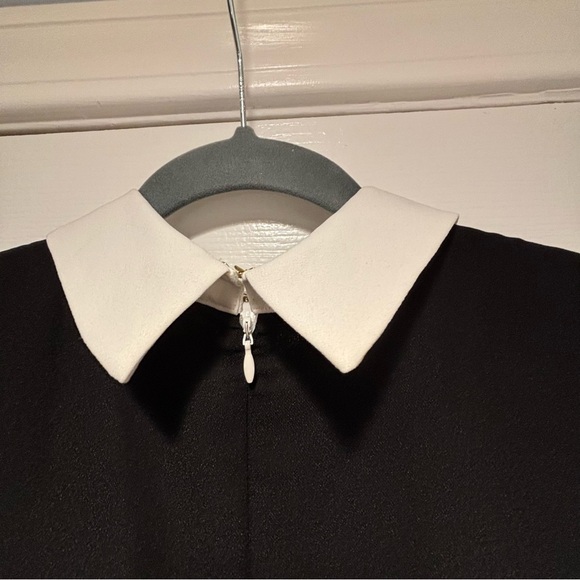 CeCe | Jada Scalloped Overlay Collared Shift Dress | Black White | size 8 - Picture 6 of 16